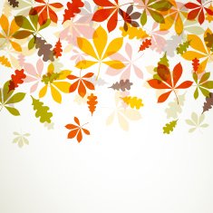 Vector autumn leaves N25