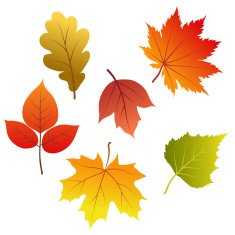 Set of vector autumn leaves