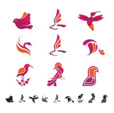 set of birds N4