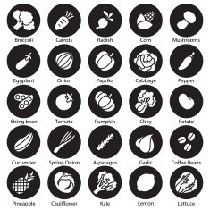 collection vegetables vector set N3