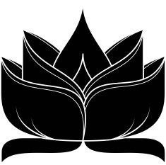 Lotus Silhouette N35