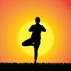 Vector silhouette of woman N542