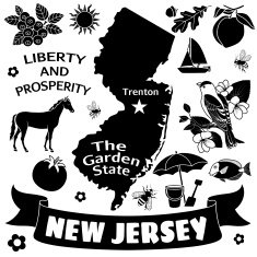 New Jersey N11