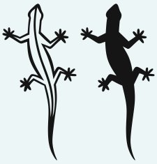 Silhouette lizard