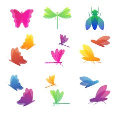 Colorful insects icon set