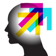 Idea Direction Silhouette