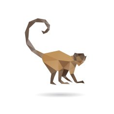 Monkey abstract isolated on a white background N5