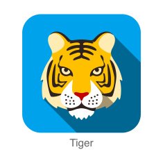 Tiger Cat breed face cartoon flat icon design