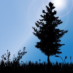Vector silhouette of tree N50