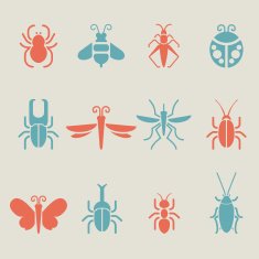 Insect icons - Color Series