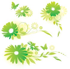 Flower design elements N3