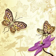 Floral background with butterflies N7