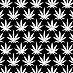 Vector cannabis leaf silhouette on black background