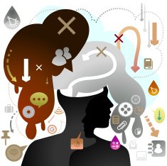 Brain Run Down N2