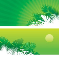 Tropical backgrounds banners
