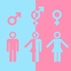Transgender icon N3