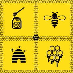 Honey vector icons N2