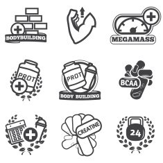 bodybuilding icons set N4