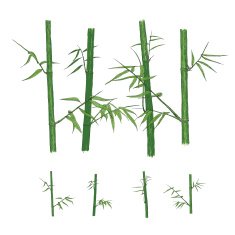 Bamboo vector illustration N3
