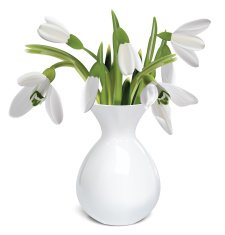 Bouquet of snowdrops in a vase Vector illustration