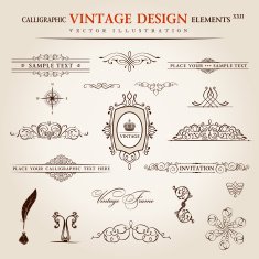 Vector set Calligraphic vintage elements and page decoration pr