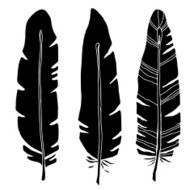 Hand drawn bird feathers black silhouettes N2