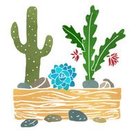 Cacti watercolor N2
