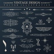 Vector vintage set Calligraphic elements and page decoration pr