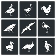Birds icons set Vector Illustration