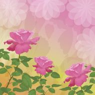 Holiday background with flower rose N5