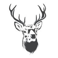 Deer Head N17