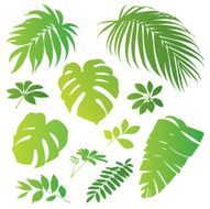 Tropical elements II