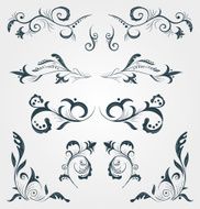 Set of floral calligraphy decorative elements N3