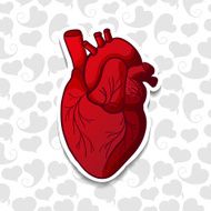 Drawing the human heart on background pattern of cartoon hearts N2