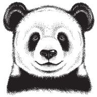 Panda Portrait Sketch