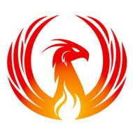 Phoenix design N2