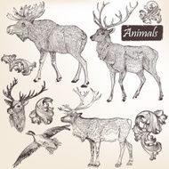 Collection of vector hand drawn animals in vintage style