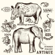 Collection of hand drawn animals and swirls for design