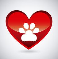 Pet design N35