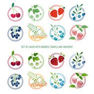Set of logos signs badges labels with berries and herbs
