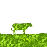 Cow silhouette graze in the field grass pasture green background