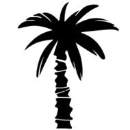 Coconut palm tree black silhouette N3