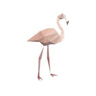 Flamingo isolated on a white backgrounds