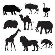 Wild African Animals Black