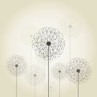 Flower a dandelion N2