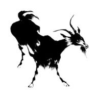 Japanese sheep N16