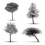 Vector tree silhouettes N2
