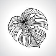 Black macro palm leaf isolated