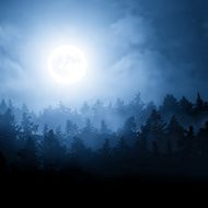 Moon over the forest