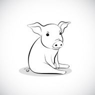 Pig N23
